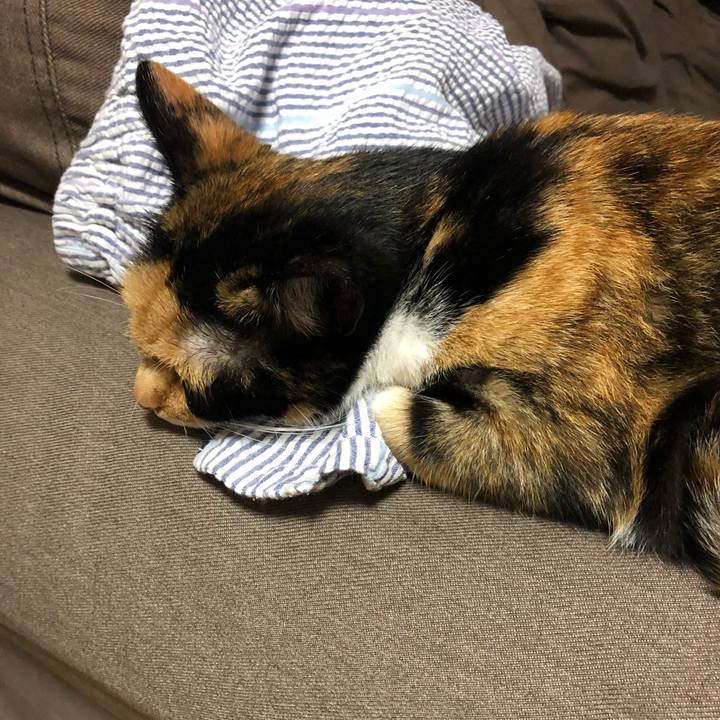 90b649f8 4609 415b bcbc 6088e211a5a8 1565272444423