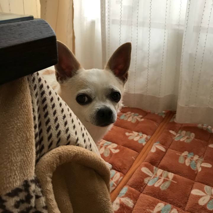 90b67ac9 e416 429f ad93 b0f8661125b1 1509450772395