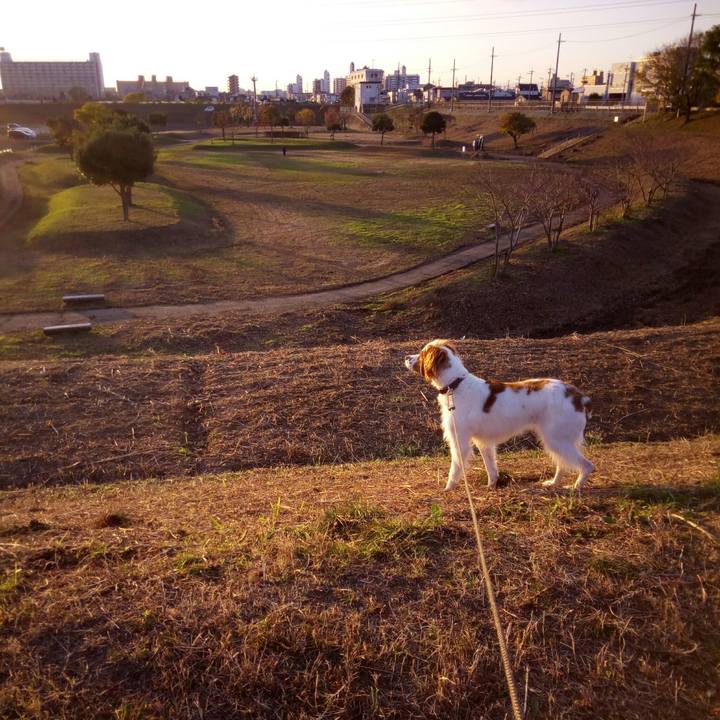 90b682e3 7379 4bbe a83b 93633b0497a8 1512202965272