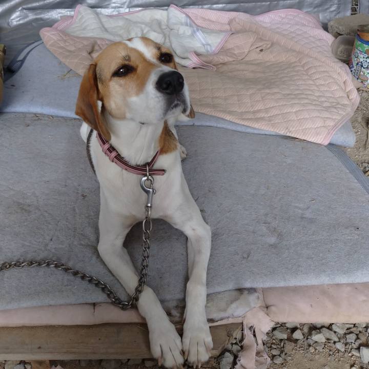 90b684d4 20c7 4206 b7c4 8cb0b9e0f87e 1601691943187