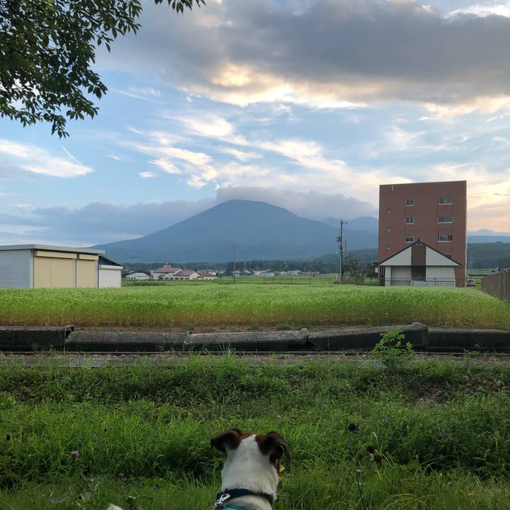 90b6b43e b024 4f4f 8f66 e0e8b8be96c0 1598611481326