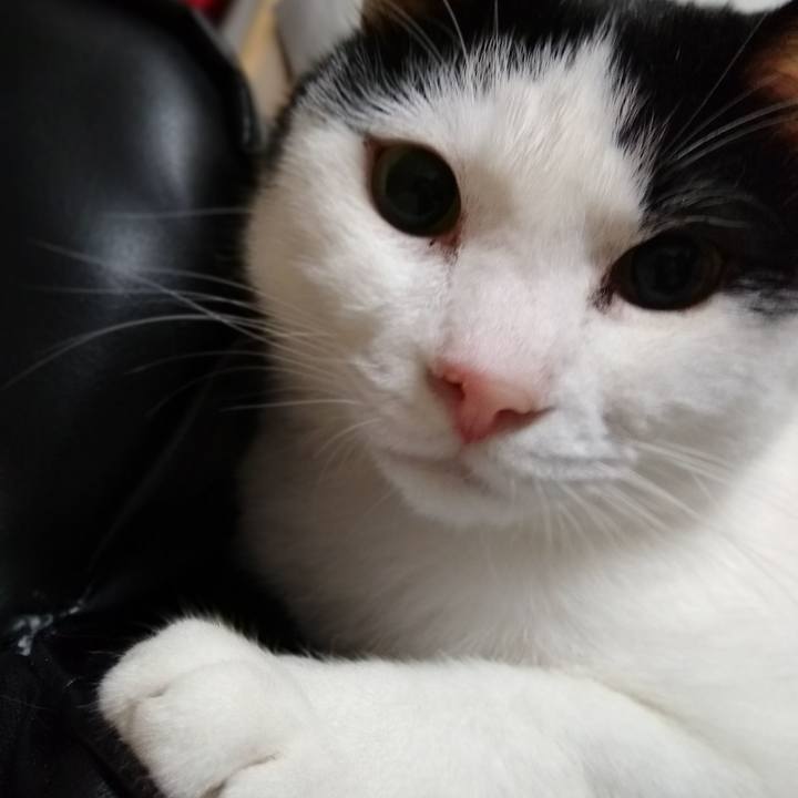 90b6e92f 81bc 44d9 aa00 e0aec50a07a8 1558436217102