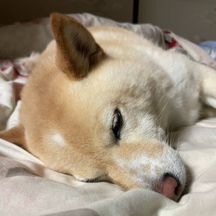 90b737cf c6c9 4e7e 8592 25ecc7c6298d 1685800985308