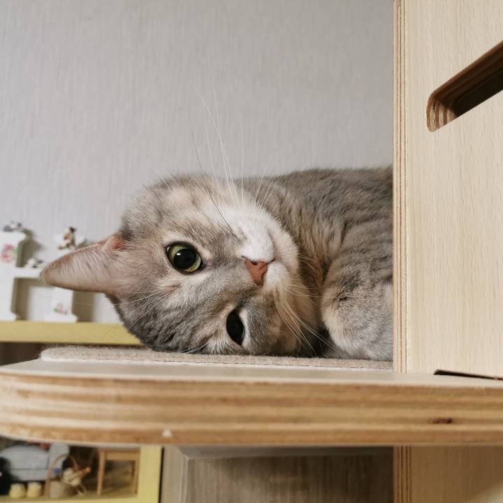 90b738fc cba8 4633 9a78 002c9bdfbb1b 1670648620127