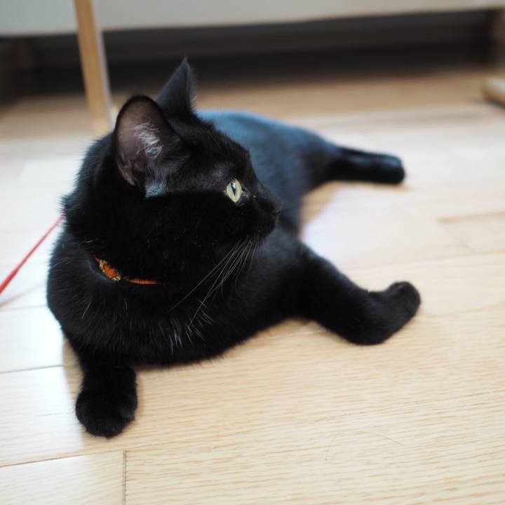 90b74884 f4f1 4c98 be6f 918502b18453 1534203906822