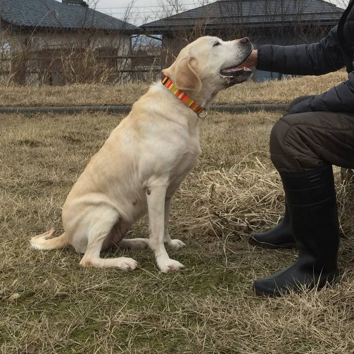 90b7a361 8641 456e 9e2b f6375e638214 1547900681153