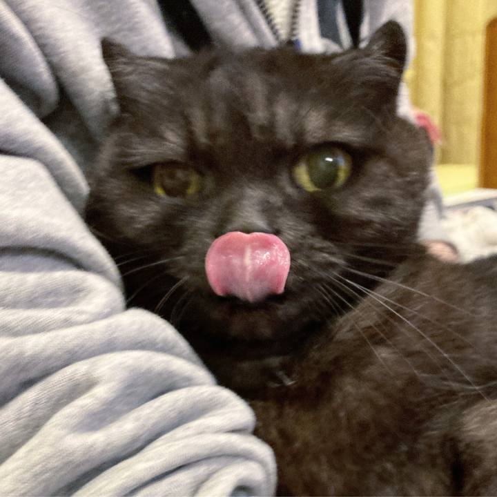 90b7b8b2 3f93 4215 bb2f bafb9716ddf8 1620662883983