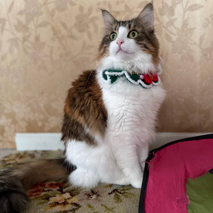 90b7d440 8172 4ed8 a34b d007bff81bff 1765865568860