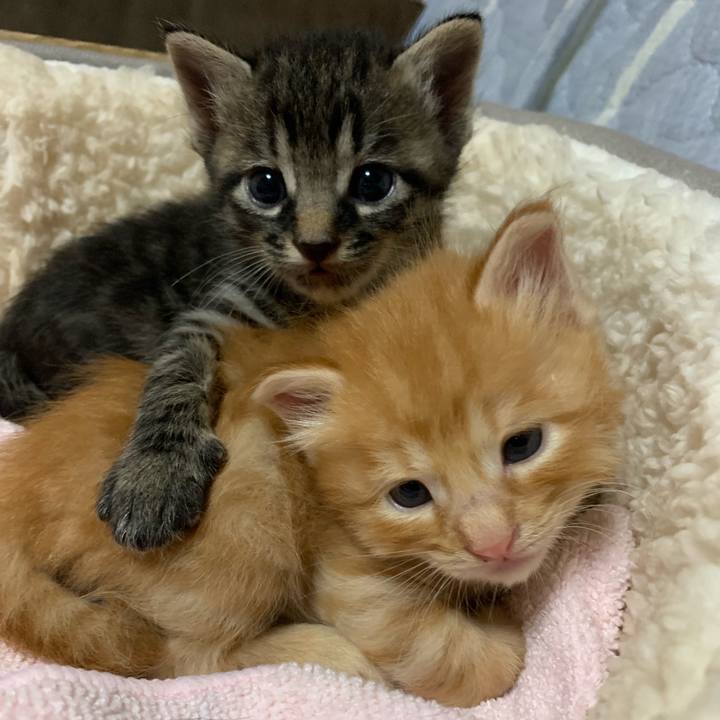 90b7e414 54df 4068 8d05 80978d6aca3a 1570115004184