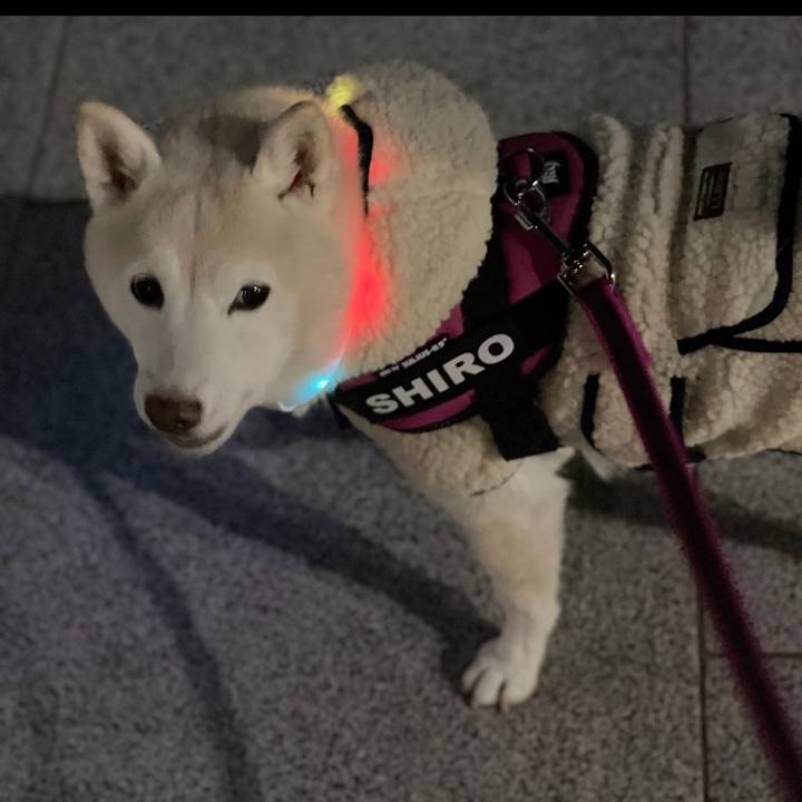 90b875be f461 4885 a6b5 f5a0a65a1aea 1642634422267