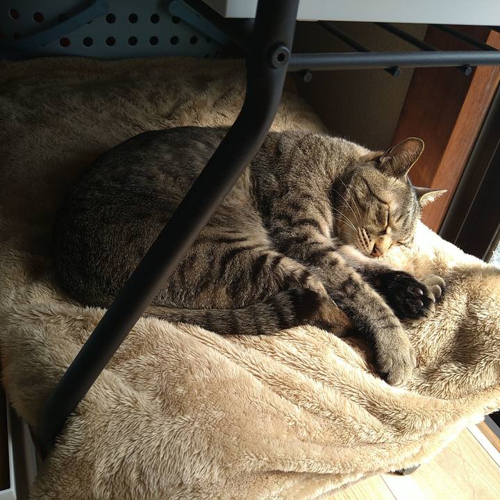 90b8951e 4497 4b41 89ef 8dcef68cc244 1712018915635