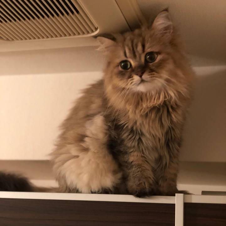 90b8a5d2 fc99 48ed 9d5e c1f2ebb81664 1532606123729