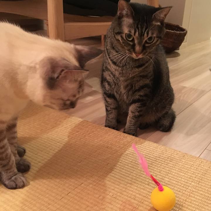 90b8c05d 22aa 469f 8b95 d2006a94513d 1568202268059