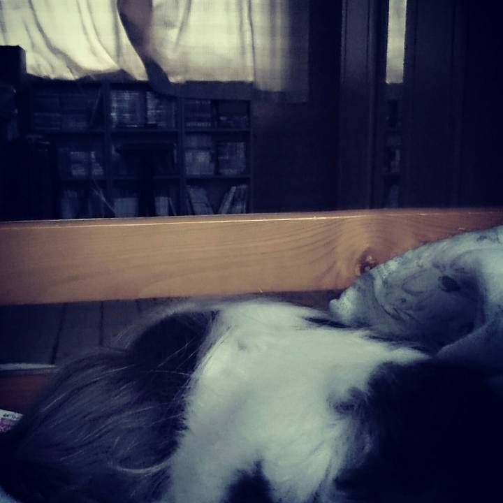 90b8c9b1 0695 4778 ba68 56ebcabf2dc1 1520287258024