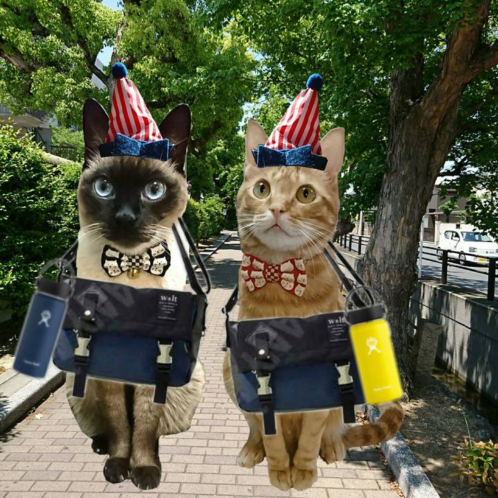 90b8e8e4 d173 4b64 9461 e17cd6ff7611 1558911512224