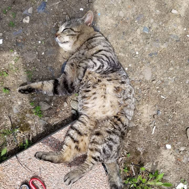 90b900d1 cf08 4336 8b19 5cdada6000f8 1621469853113