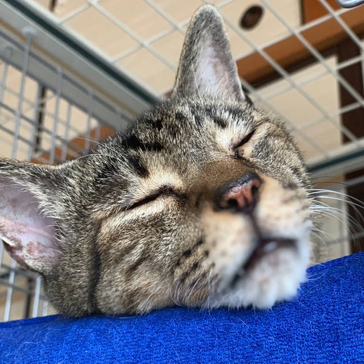 90b9412d 8274 4da4 88da 80d8d1e8a707 1565830873809