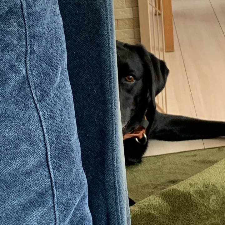 90b94e49 69a2 45b9 b1c9 63c22b399a02 1666521384015