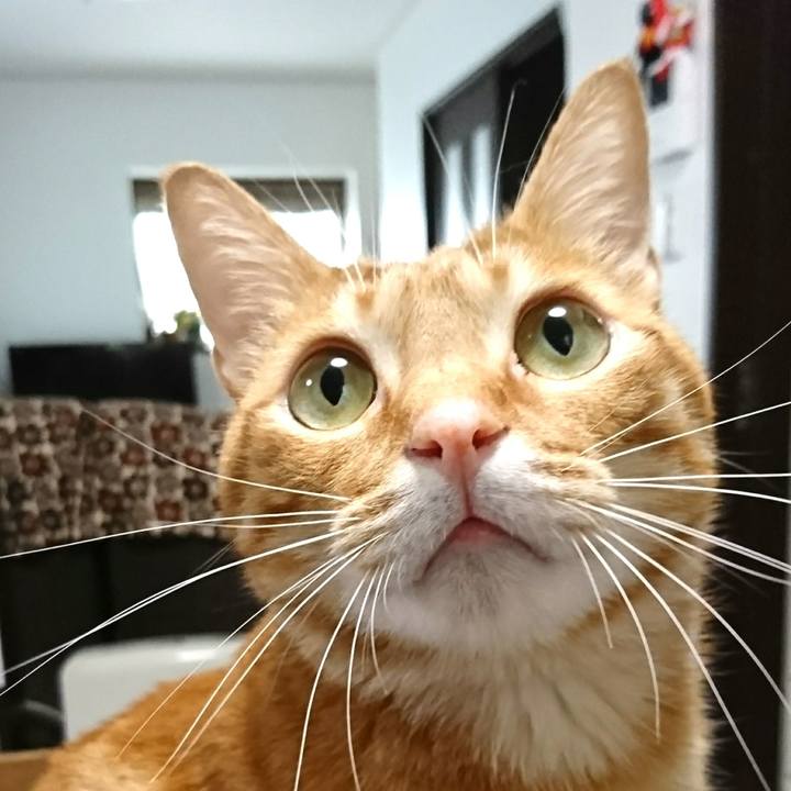 90b96afe 29bf 4ae8 b2e7 5ba30b211598 1525942416094