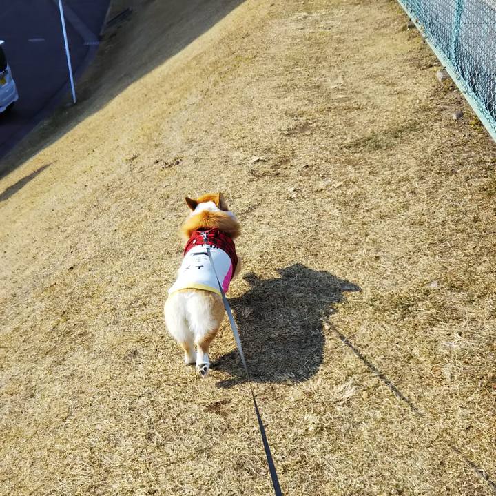 90b97750 08b1 4b40 bcab e6edbe3cb38d 1550803231087