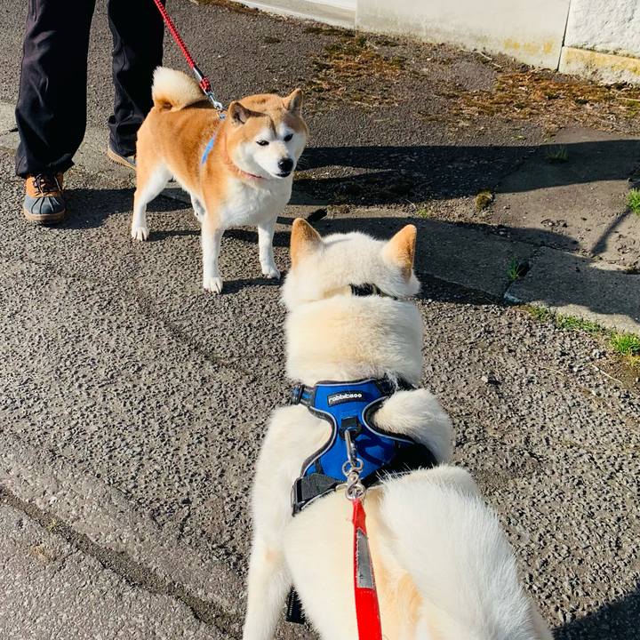 90b9aed5 94af 4d86 8fa7 05f00f8e3aa2 1621819242829