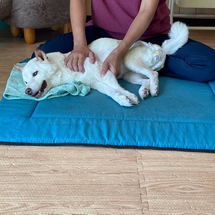 90b9d6a4 05a3 48aa b961 9397a5e2ce88 1663678979029