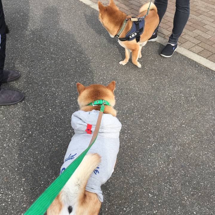 90b9d76c 8fc7 4301 a1ec 280362e037e6 1610329044274