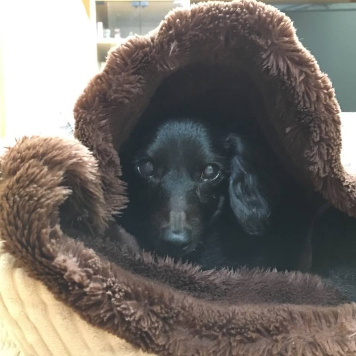 90ba3210 6841 44c6 9d4c 6273fe5051db 1547502293871