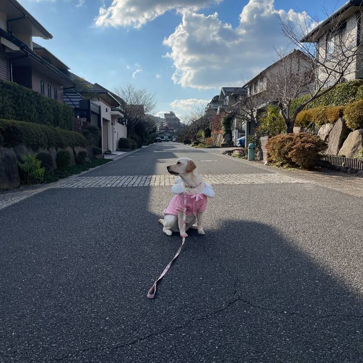 90ba42e6 1f84 4ab1 9a08 2556d6f629a7 1641638421605