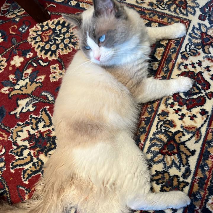 90ba6593 48b1 48aa a61e b271a5886379 1649221820485