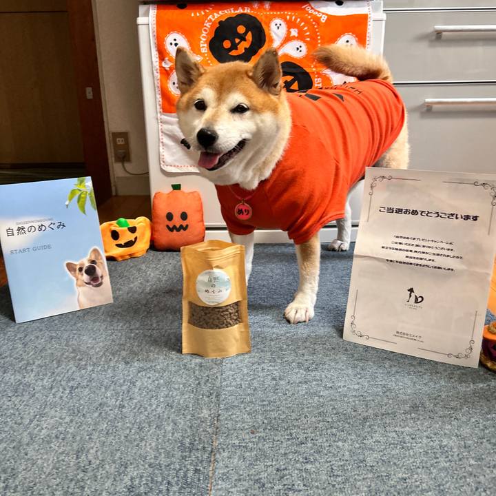 90baeb5d df90 4f2d 802d 57c1a70b16ee 1729757619098