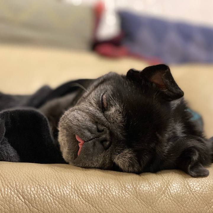 90bb3efb 74e4 49d9 b053 b46b90031e11 1611064668057