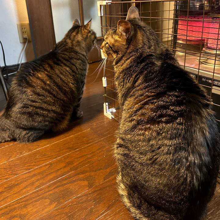 90bb8e7b 53cb 41e8 8183 1e897f4e7dfd 1675773390279