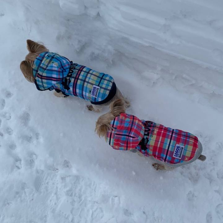 90bba244 cf3f 468d be3c 5f3eec00ed6e 1609751342953