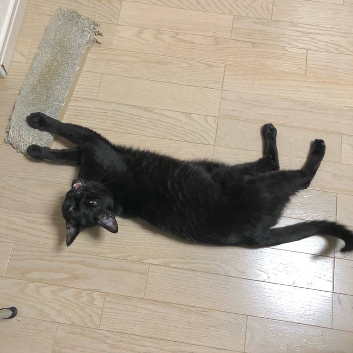 90bbab74 b369 46b5 9126 41c5babb2ded 1621601674906