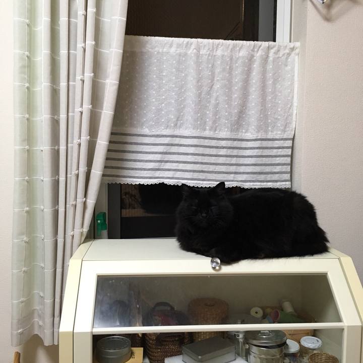 90bbaf27 749b 4a8b 9cb8 ce0f233ada04 1530715071143