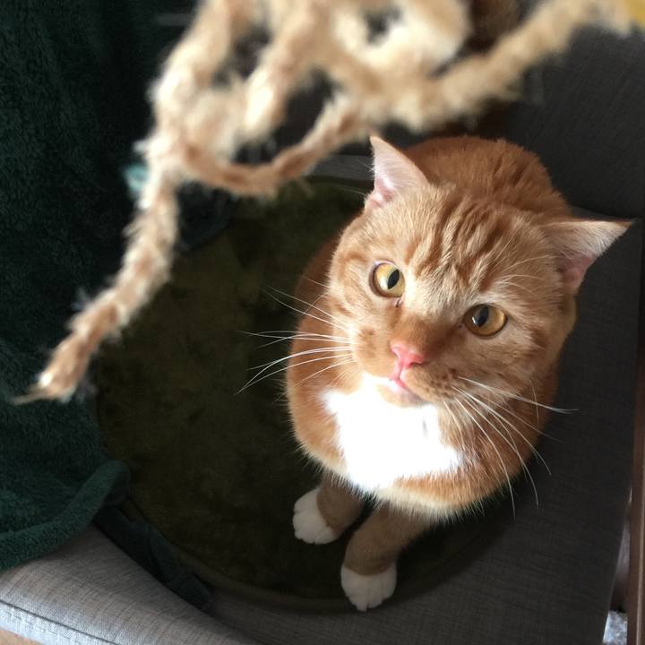 90bbe8d9 6e91 47fe ac24 1f025f1f039e 1523487942545