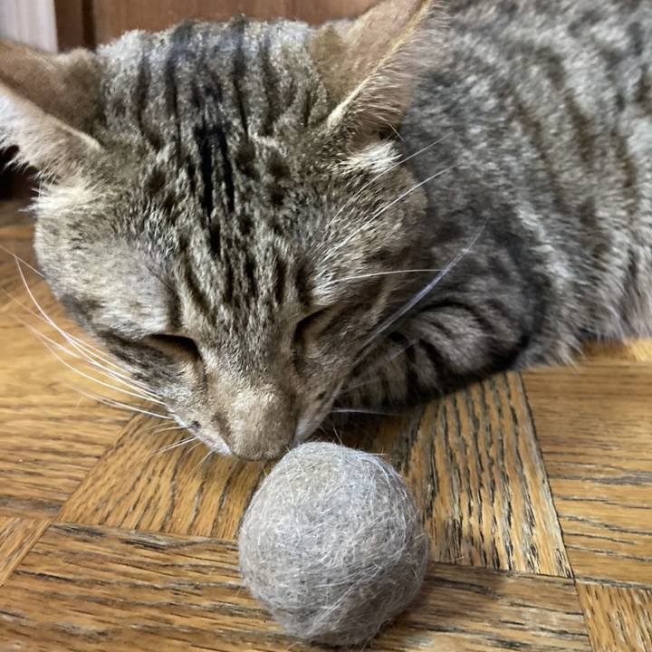 90bc02f3 8e1a 4c01 8c73 ef8318b2f442 1609252060416