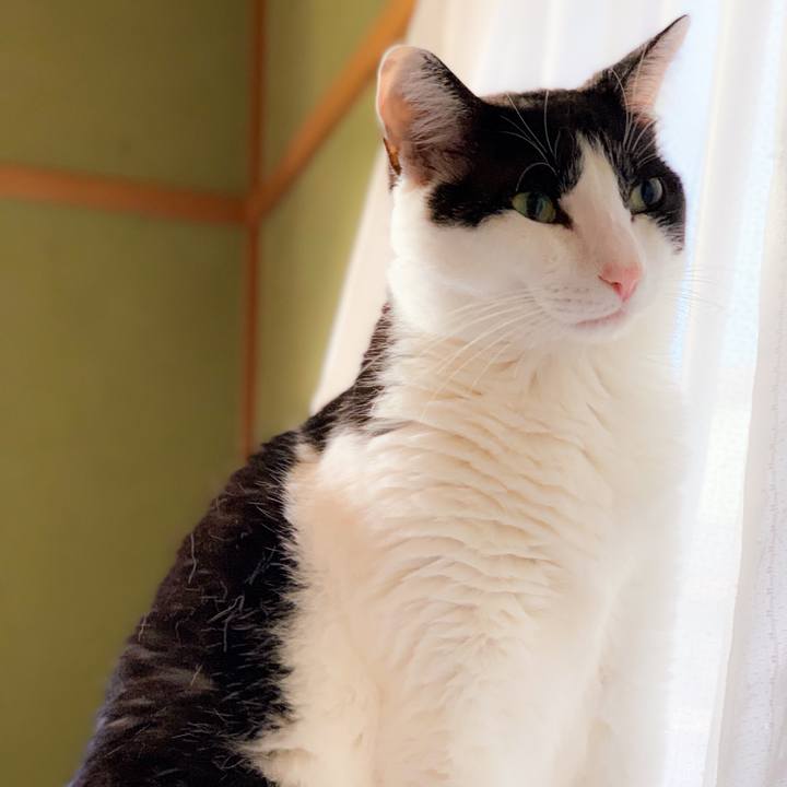 90bc1356 7a49 465f 872c c310a6ae0820 1562722408234