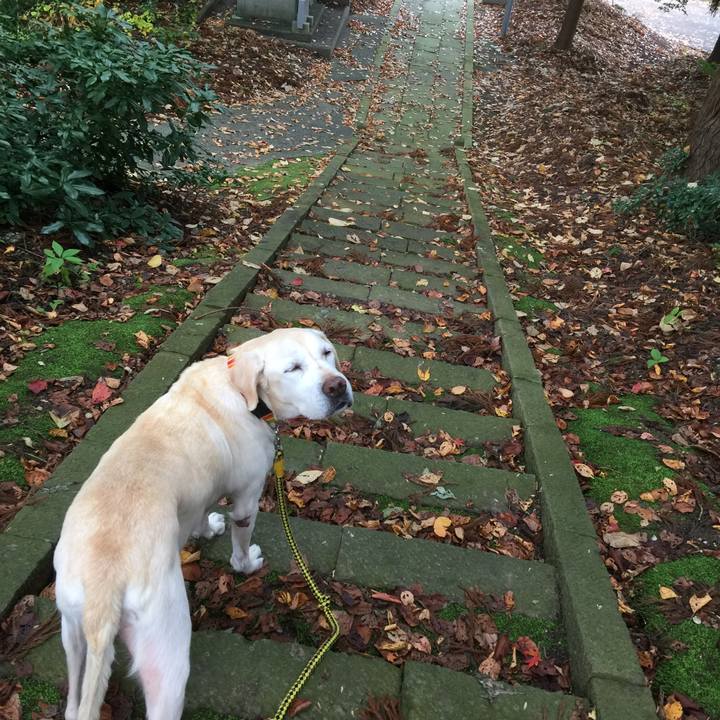 90bc2a8b 42dc 4a03 8e65 d3b187409bbd 1572364019252