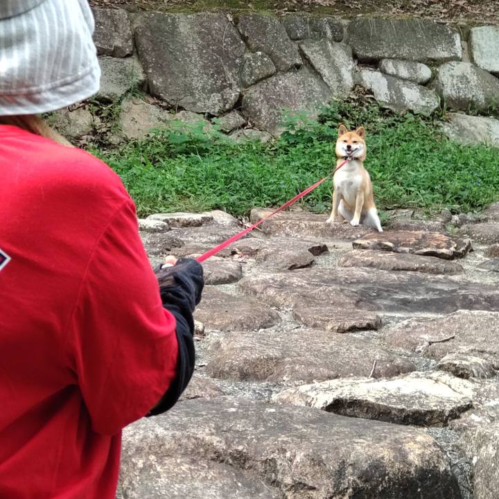 90bc39fe c9dc 4421 9948 4fceab38b589 1660965788894