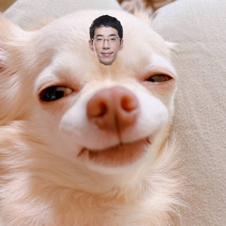 90bc44f6 f80b 478b 9fc5 e49473fde7c9 1664107972152