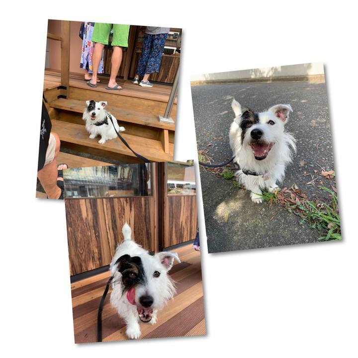 90bc4681 5412 40d8 a3d5 d83aca7e2e03 1662252727077