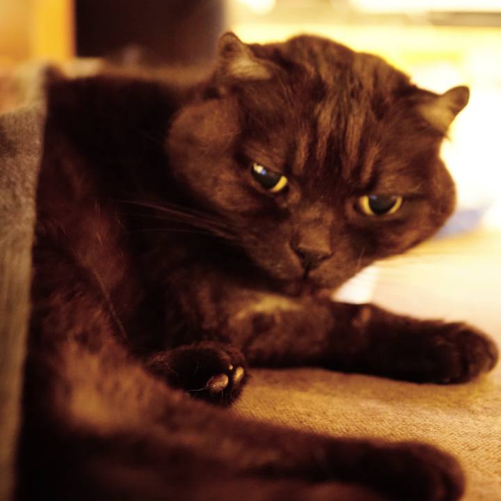 90bc8ef6 1938 41b8 8a09 44cec76ce7d3 1639149661315