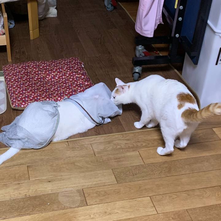 90bcb991 7b07 4d2a 91c8 c70c49742e2c 1608847314137