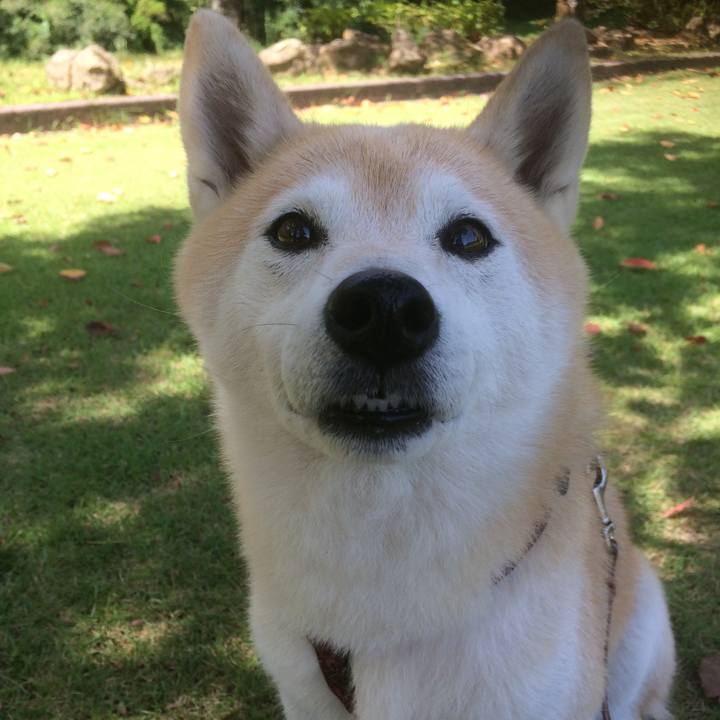 90bcef2e 0b5b 484c 8833 756b8068fb08 1534675589723