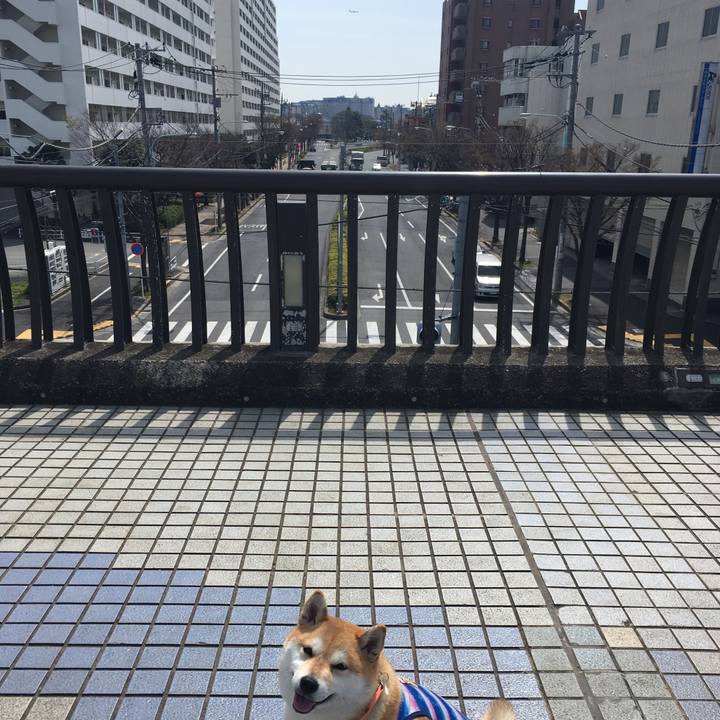 90bcf07f ca86 4b4f ae4d 7b2d75170997 1553489705928