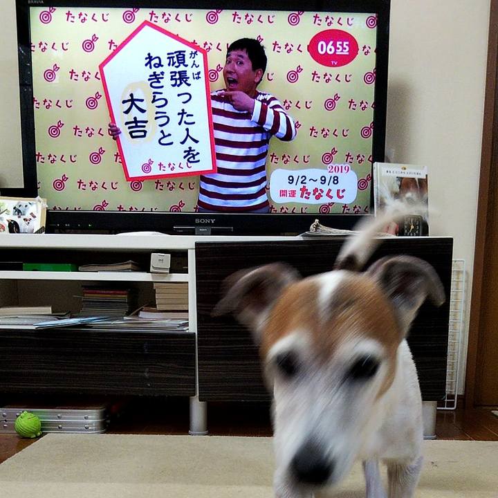 90bd0351 0392 4def 99b6 0e1b8bcadbde 1567375571742