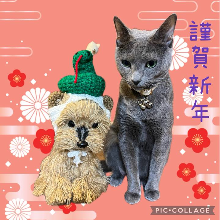 90bd4926 a24a 4f77 836f 415944e80ce6 1735683669190