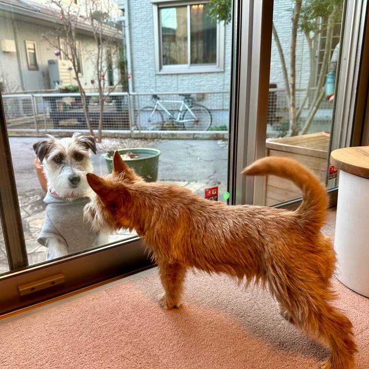 90bd72cf a967 4212 9ebf cb3b79f85a15 1707079787700